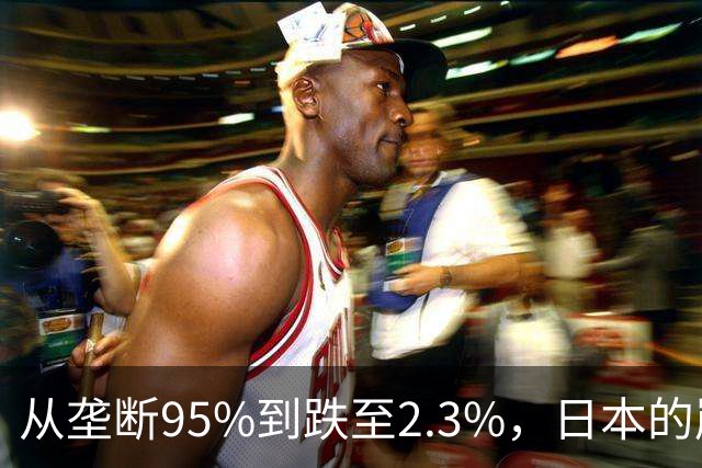 从垄断95%到跌至2.3%，日本的崩溃循环，中国亲手按下终止键