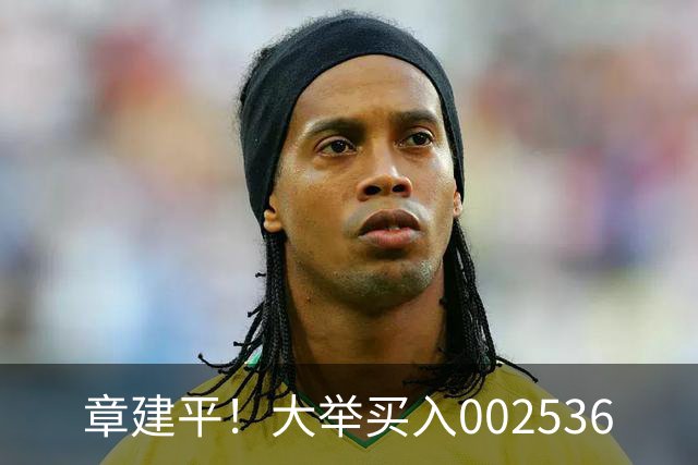 章建平！大举买入002536